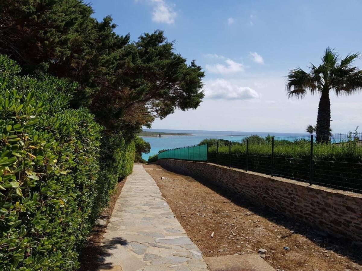 Pelosa - Capo Falcone Excellent Apartment Стинтино Экстерьер фото